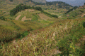 堀　光順【ウガンダ南西部の人口稠密地域における斜面農耕と土地利用に関する研究】